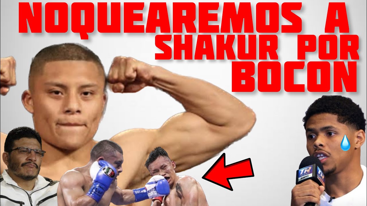 ¡POR HOCICON! Pitbull Cruz asegura UN NOCAUT sobre Shakur Stevenson ...