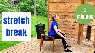 Stretch Break | At your desk or anytime