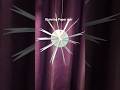 Stunning Paper & Scissor Star | Simple DIY for Festivals 19 December 2025