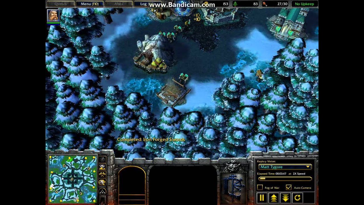 Warcraft 3 Customs 12