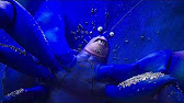 Tamatoa Secret Scene Youtube Tamatoa Secret Scene Youtube