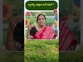 పచ్చి రోట్ట ఎరువులు అంటే ఏమిటి ? | T-SAT