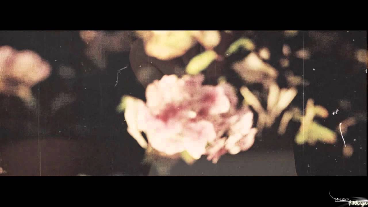 damon + bonnie | there's no dawn. only midnight.