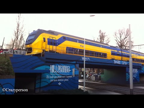 NS Intercity Dubbeldekker trein komt langs bij Rotterdam Noord!