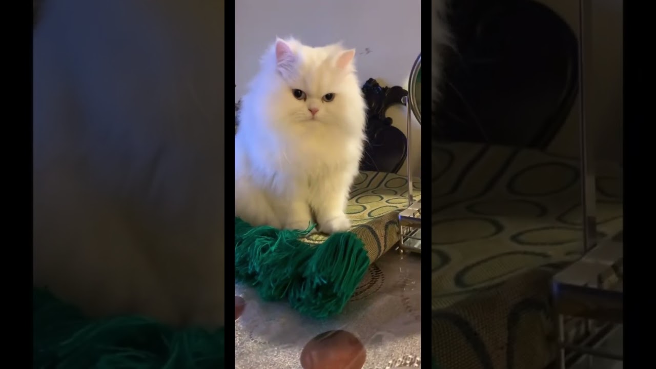 Face Card never Declines 