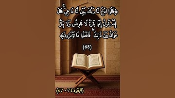 سورة البقرة (67 - 71)       القارئ علاء عقل.
