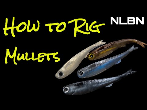 NLBN how to rig Mullets 