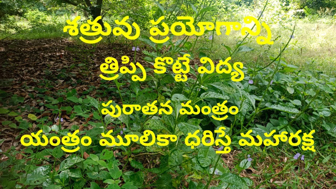 ఎటువంటి ప్రయోగాన్నైనా త్రిపైకొట్టే తిరుగు మంత్రం