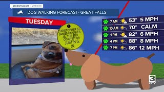 Dog-walking forecast (August 26, 2025)