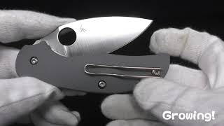 ナイフショップ グローイング！□Spyderco【スパイダルコ】□ セージ1