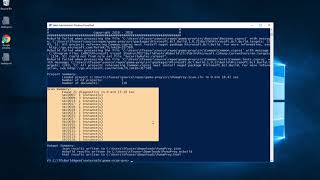 How to run the Puma Scan Pro Server Edition from the Command Line