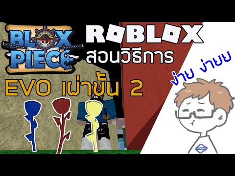 Roblox:Blox Piece สอนวิธีการ EVO Tribe Stage 2 [ละเอียด]