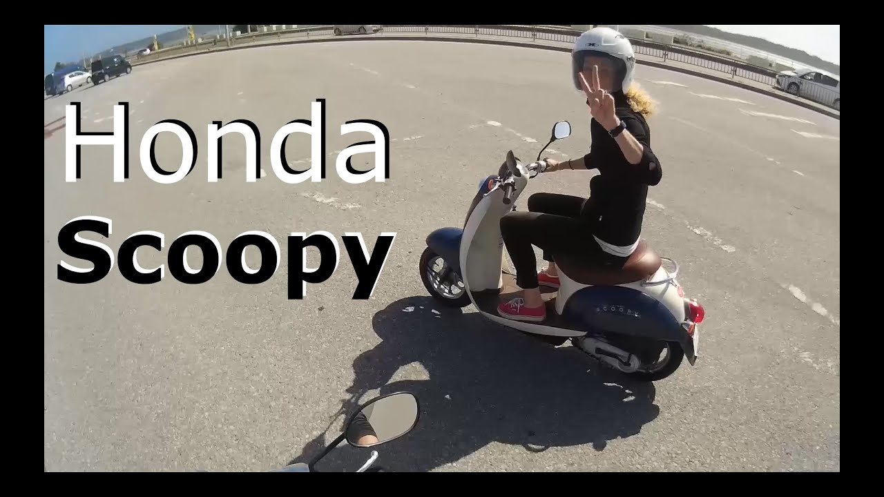 My Wifes 50cc Honda Scoopy Scooter YouTube