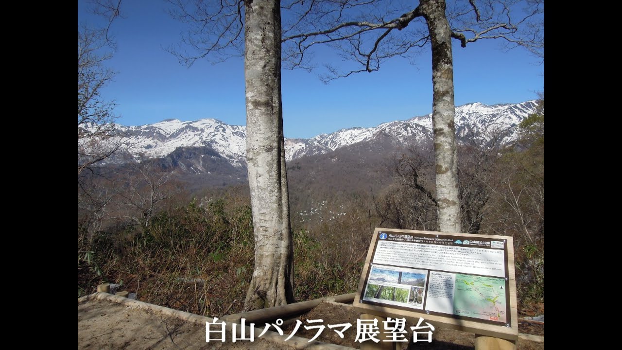 白山展望 市ノ瀬 岩屋俣谷園地探勝路 Youtube 白山展望 市ノ瀬 岩屋俣谷園地探勝路 Youtube