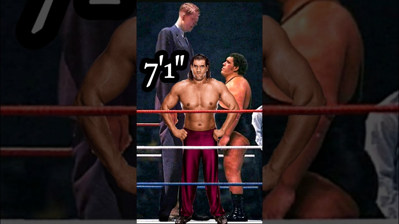 THE GREAT KHALI ANDRE THE GIANT & ROBERT WADLOW FACE TO FACE 