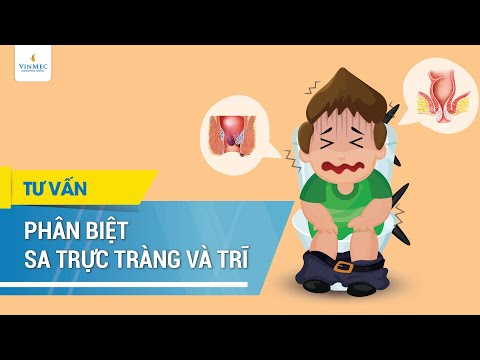 Video: Tìm một tổ chức cứu hộ Poodle