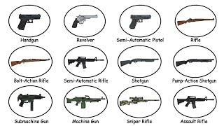 Every type of guns Explained in 5 minutes 🔫 with Hail Explain 
