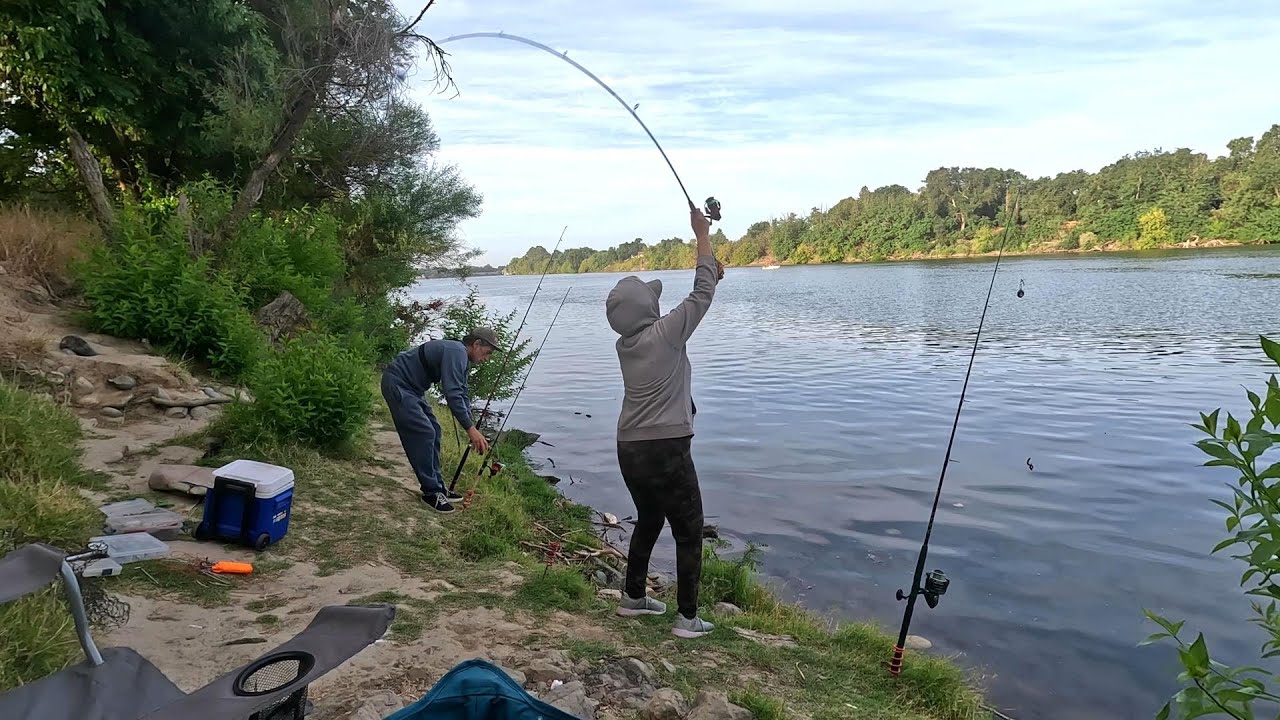 Striper Fishing the POPULAR Freeport Sacramento River!