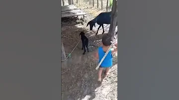 DO JEITO QUE HOJE EU TO ZANGADO Shorts 