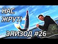 Есть ли рыба на оффроуде? А медведи?