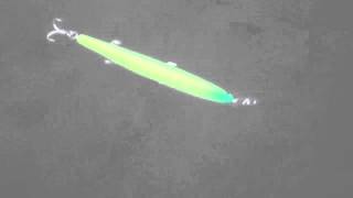 ザブラシステムミノー123F　スイム