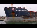 Algoma Discovery - A Bear in the Canal