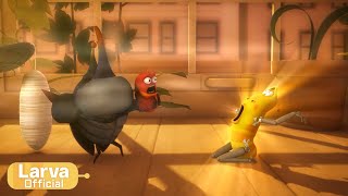glow animation compilation larva tuba official