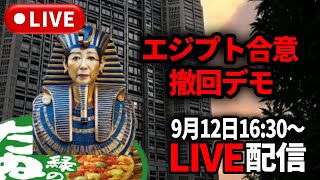 【9/12 16時半～】東京都エジプト合意撤回デモ【LIVE配信】