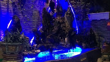 Hồ Cá Koi 2,6 Khối Sử Dụng Tổng Bơm 16000 Lít - Lọc 2 Ngăn - Nước Cực Trong.Hồ Của Em Huy Ở Biên Hòa