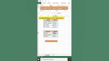 create Picture Hyperlink #shorts #excel #exceltips #exceltutorial #msexcel #youtubeshorts