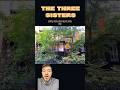 The Three Sisters | Townhomes with a Front Yard in NYC