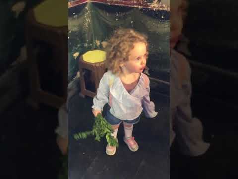პატარა გოგონას რეაქცია ეკლესიაში ანთებული სანთლების დანახვაზე   (ვიდეო)
