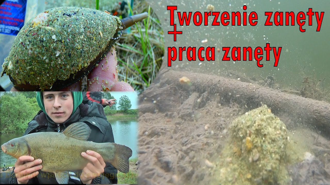 Jak zrobić zanętę + praca zanęty: Lin Karaś - RaFish