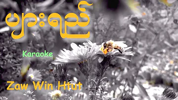 Zaw Win Htut - ပ်ားရည္ - Karaoke with lyrics.