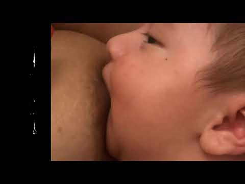 شیر خوردن نوزاد 