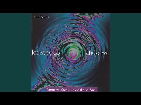 Non Eric — No Questions Asked
