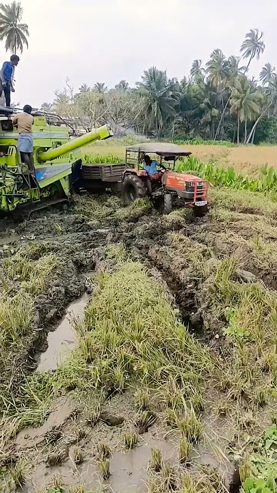 kubota tractor 4x4 #vivasayam #agriculture #village #tractor #trending #farmers #kubota #trending