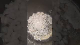Oyster Stew Recipe