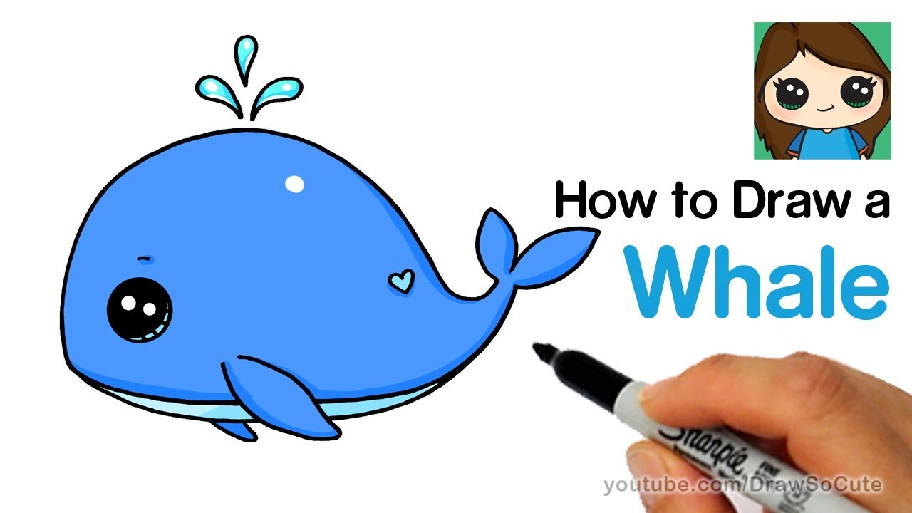 Whale Sketch Stock Photos and Images - 123RF