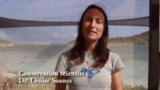 Mangroves on the move: Habitat restoration efforts underway