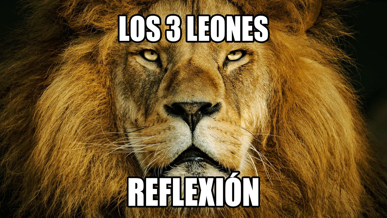 REFLEXION .- LOS TRES LEONES, Reflexiones Diarias, Motivacionales, Cortas,  Mejor Persona, De Dios. - YouTube
