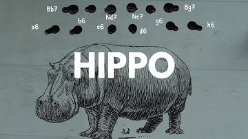The Hippo · Plans, Patterns and Ideas in the Hippopotamus Opening