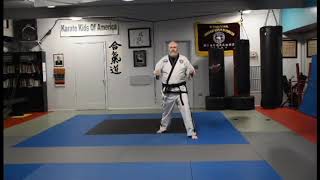 Class taught by Grandmaster Davis