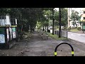 本日のメタセコイヤ通り。10/1
