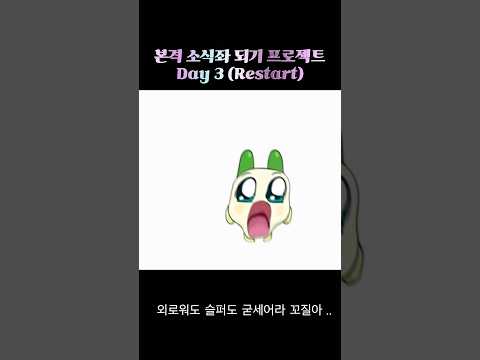 다이어트 3일차 #diet #whatieatinaday #vlog #광안리 #나의보통의하루 #부산뮤지컬 #musical #dailyvlog