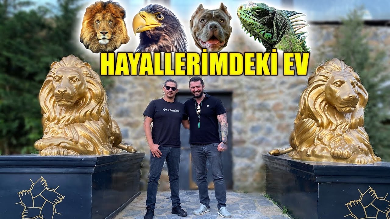 ДОМ МОЕЙ МЕЧТЫ С ЭКЗОТИЧЕСКИМИ ЖИВОТНЫМИ. ЛЕВ | ОРЕЛ | ЗМЕЯ И Т.Д.