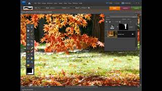 Photo Editing 101 — Importing from Camera & Card in Lightroom | Ep. 361 screenshot 4