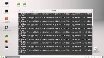 check your internet connection on Linux Mint 13
