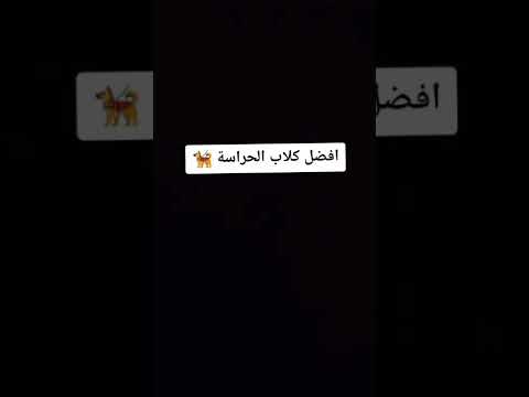 انواع كلاب الحراسه