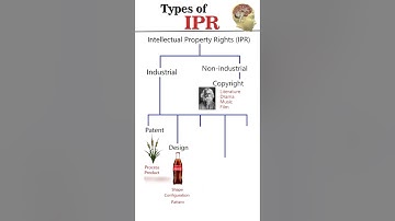 Types of Intellectual Property Rights (IPR) #competitiveexams